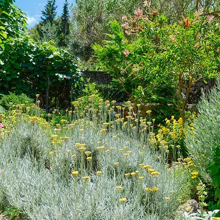 Aurora Lägenhet Mali Lošinj