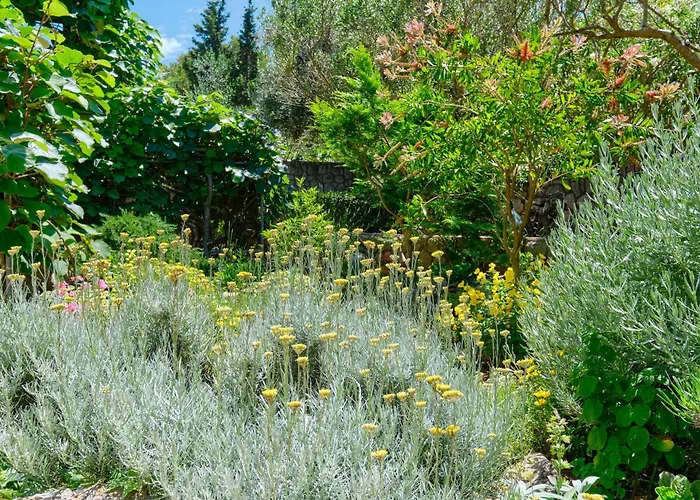 Aurora Lägenhet Mali Lošinj